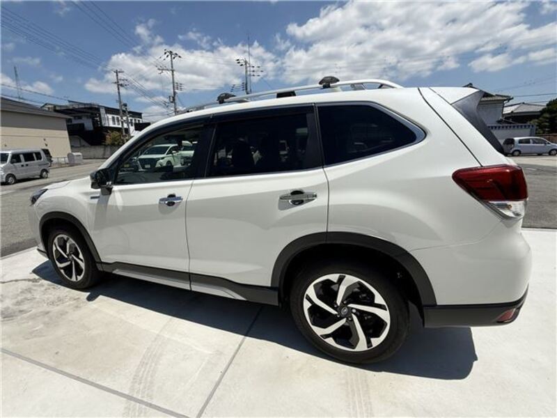 FORESTER