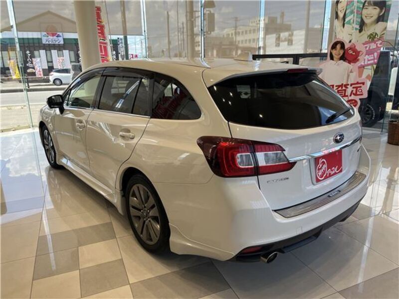 LEVORG