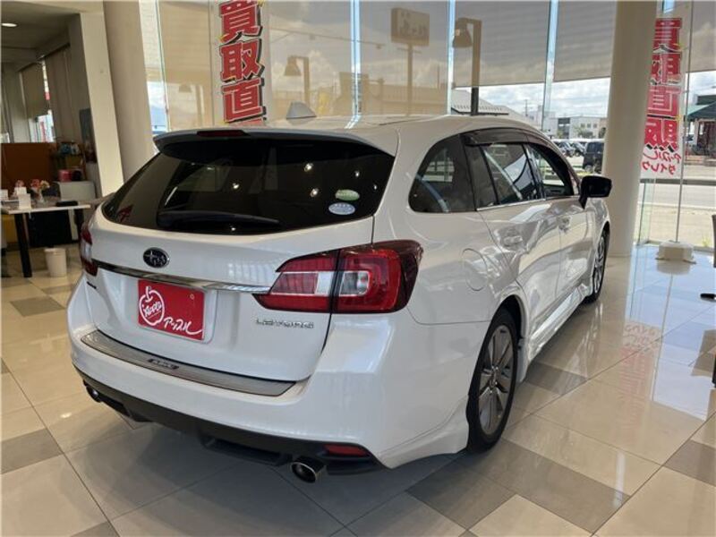 LEVORG