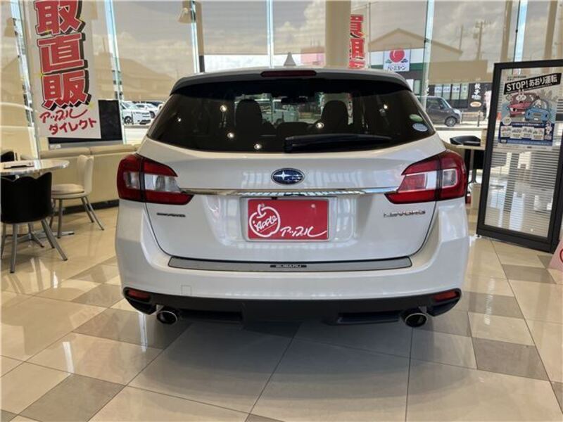 LEVORG