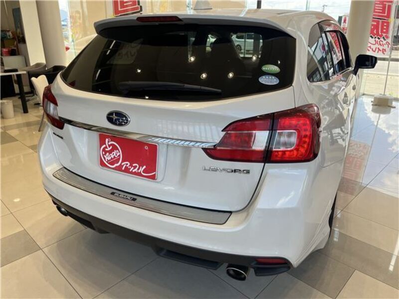 LEVORG
