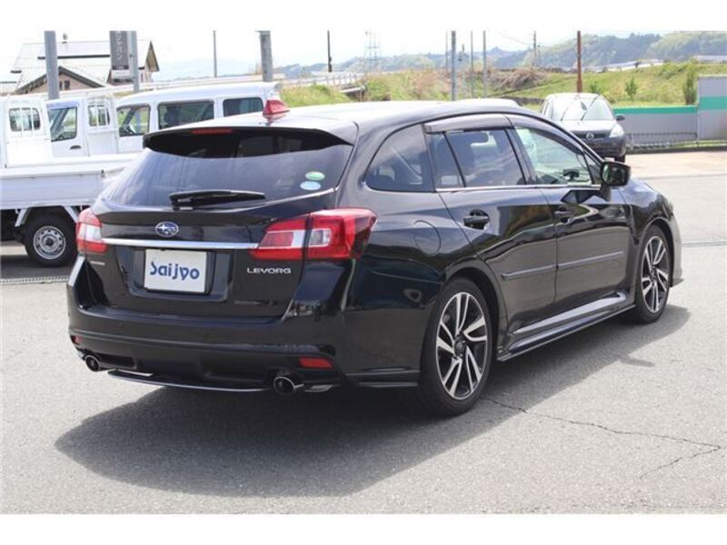 LEVORG