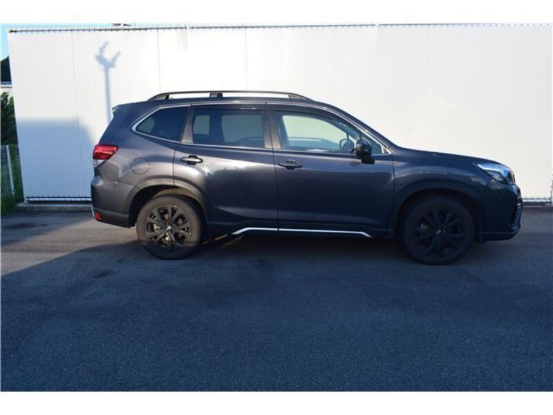 FORESTER