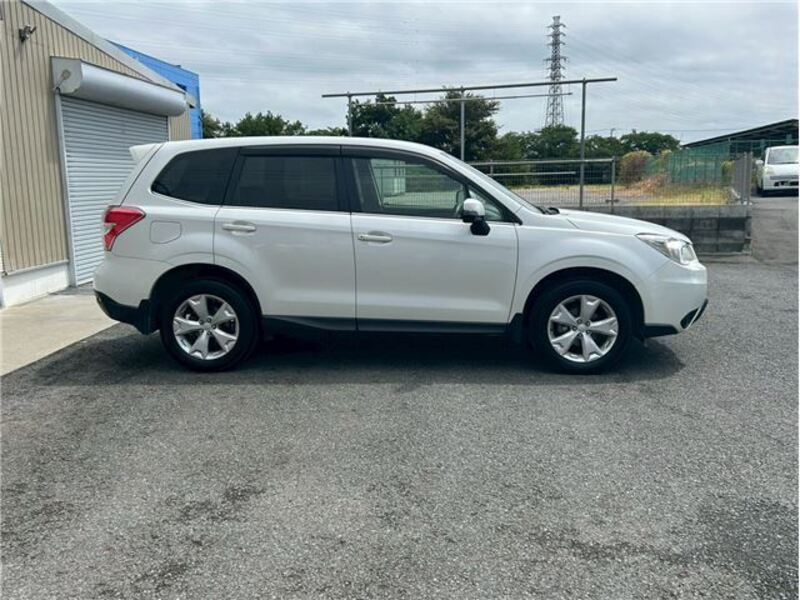 FORESTER
