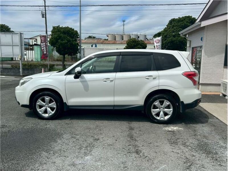 FORESTER