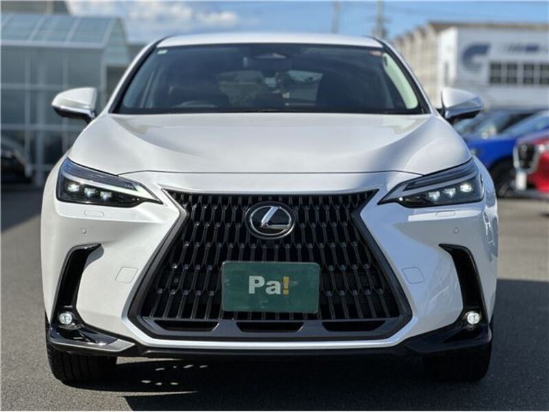 NX