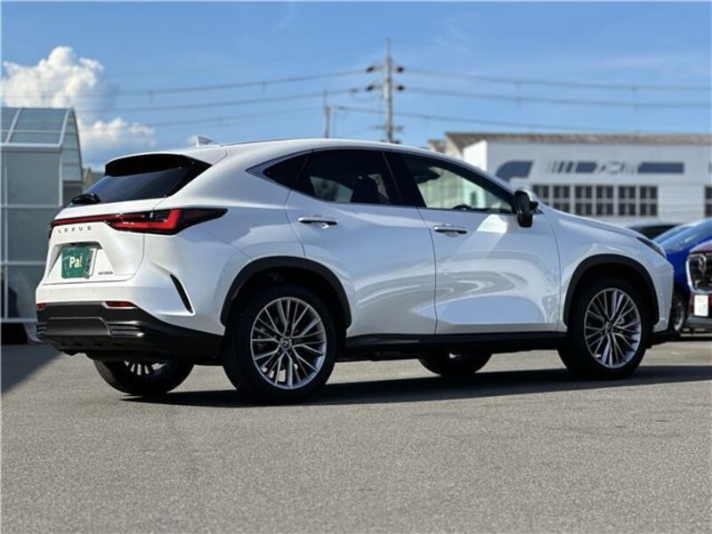 NX