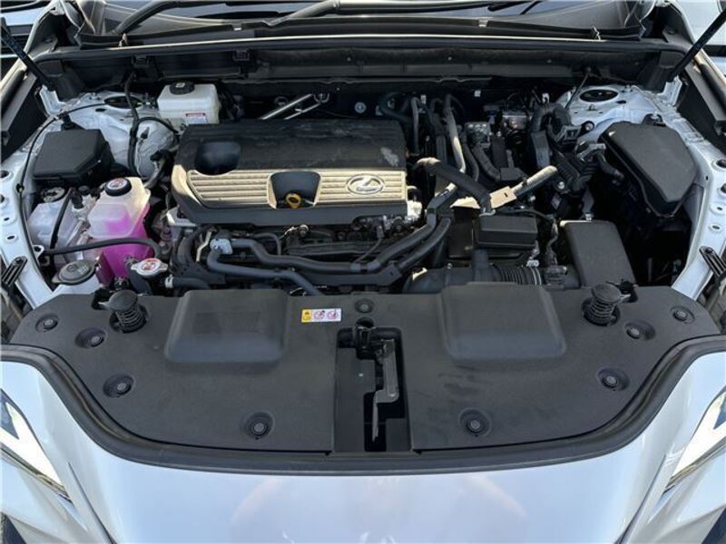 NX
