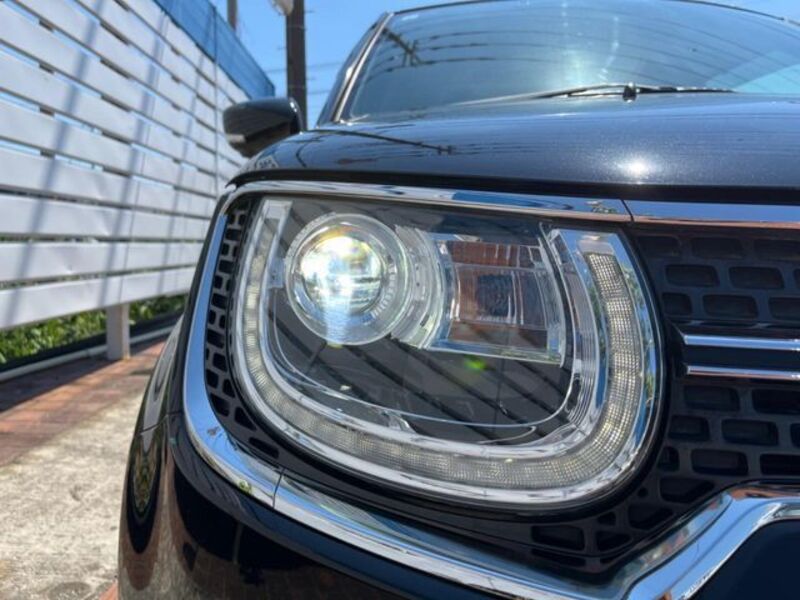 IGNIS