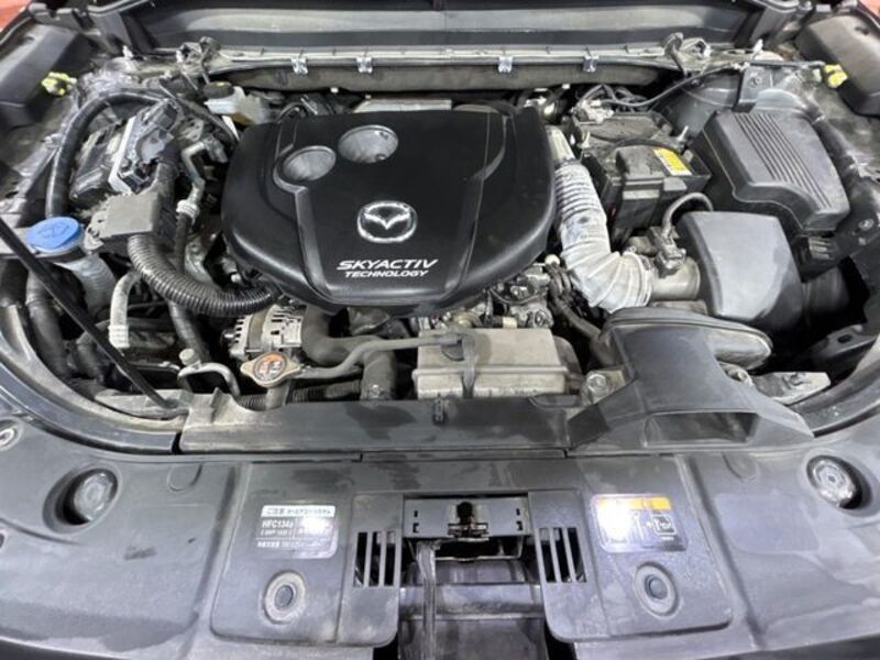 CX-8