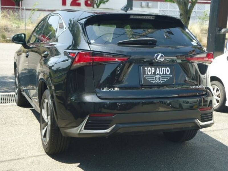 NX