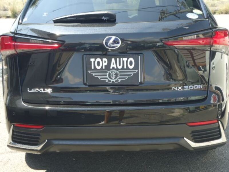 NX
