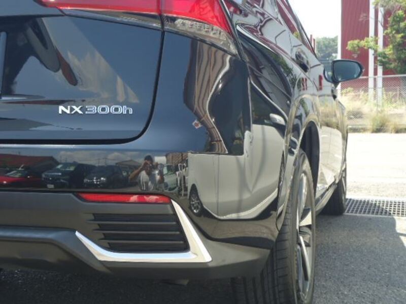 NX
