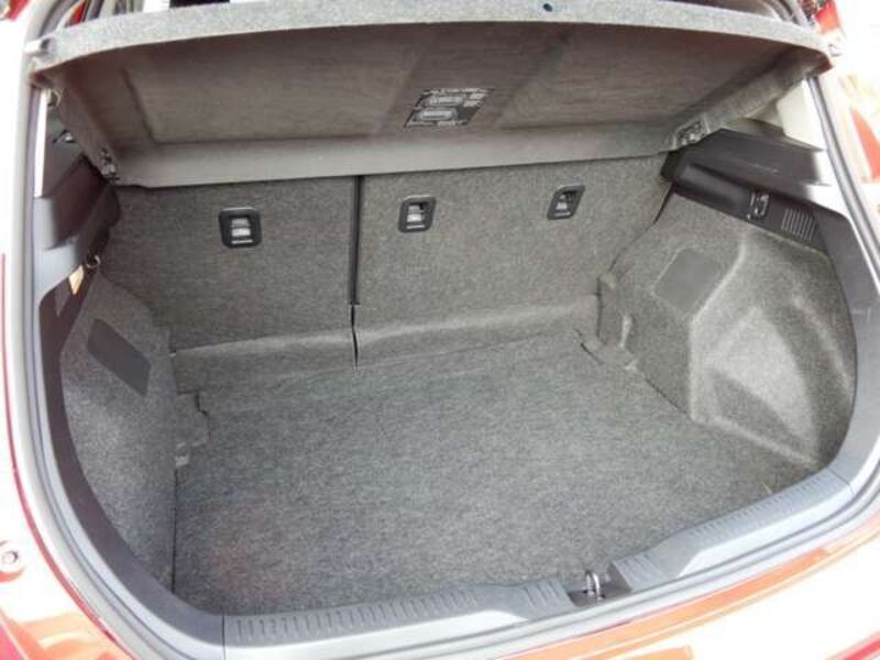 AURIS