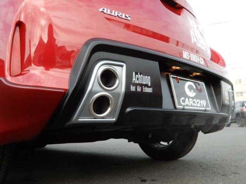 AURIS