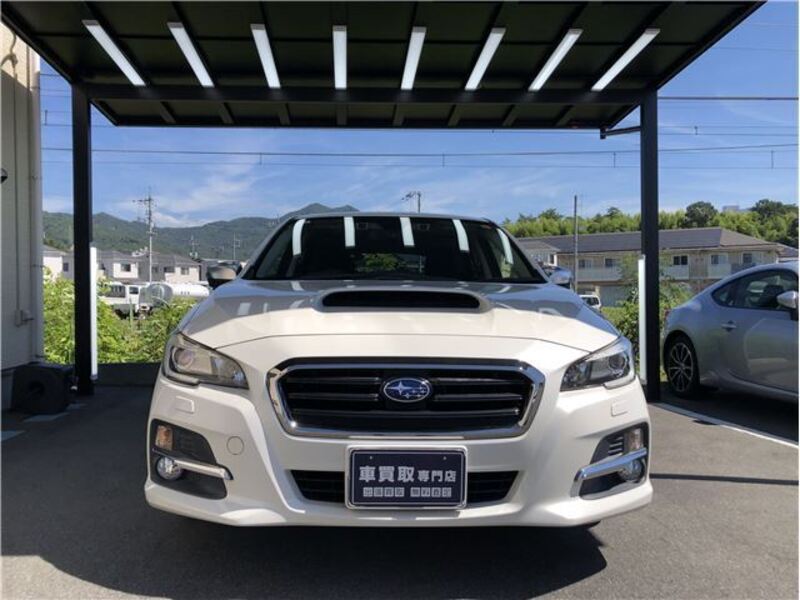 LEVORG