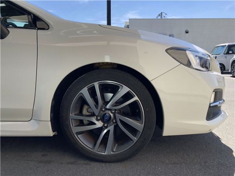 LEVORG