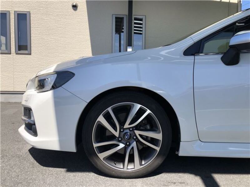 LEVORG
