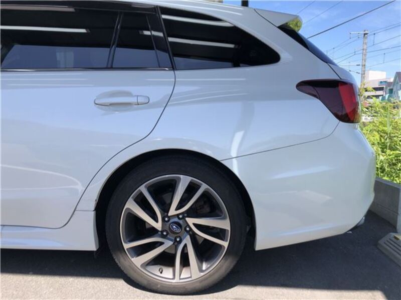 LEVORG