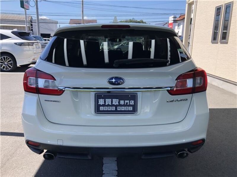 LEVORG