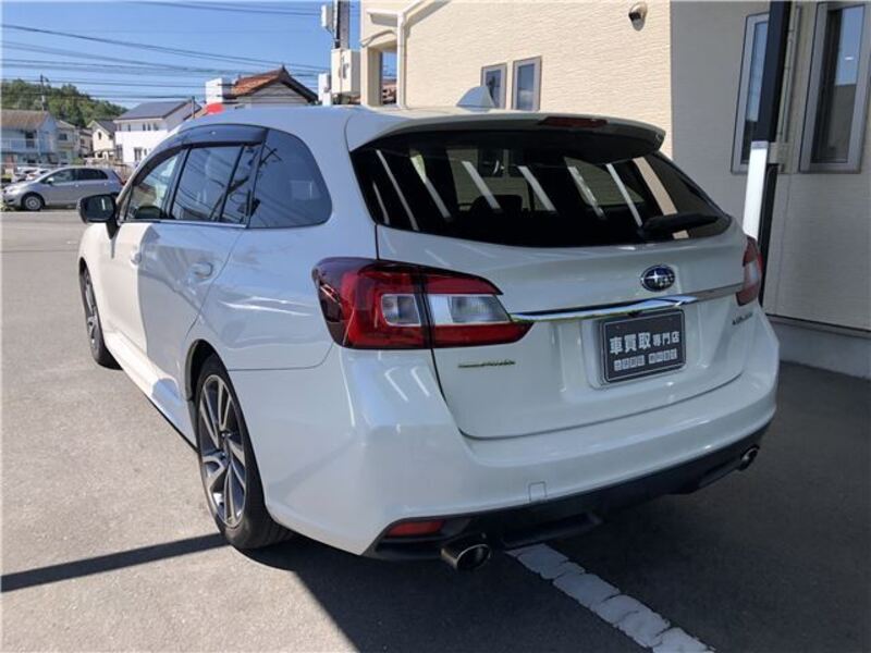 LEVORG