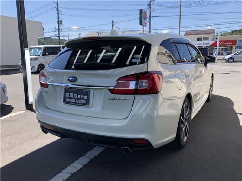 LEVORG