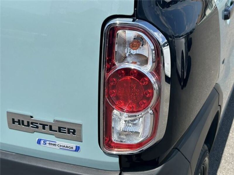 HUSTLER
