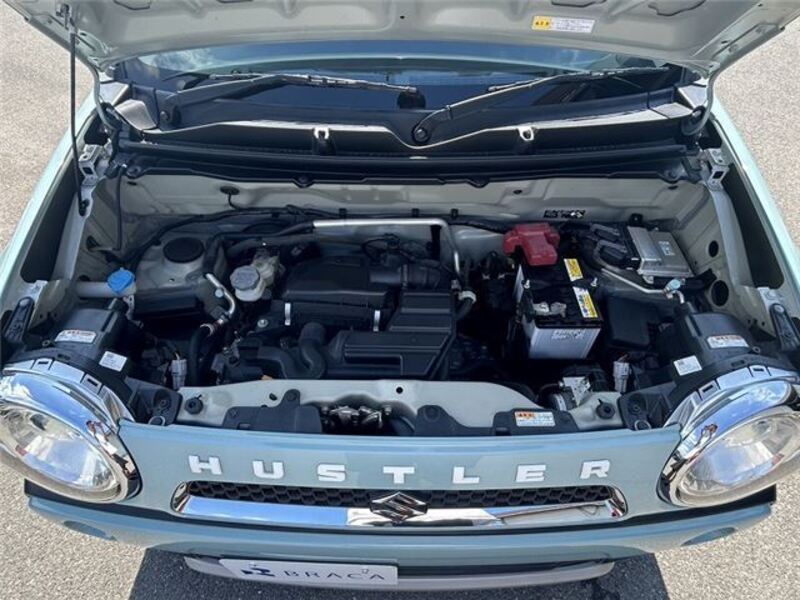HUSTLER