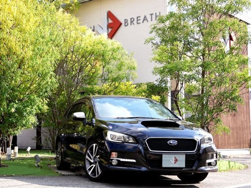 LEVORG-0