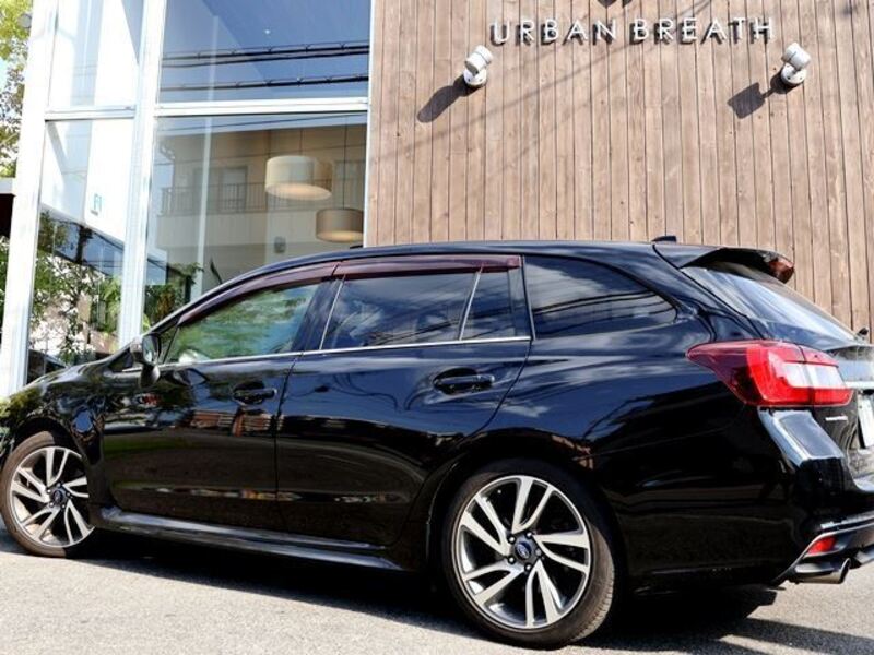 LEVORG