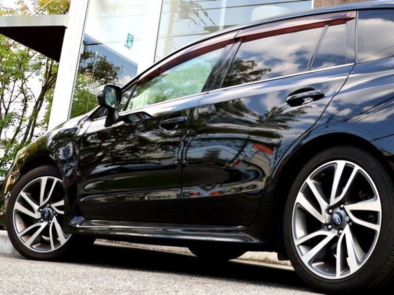 LEVORG