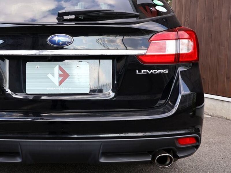 LEVORG