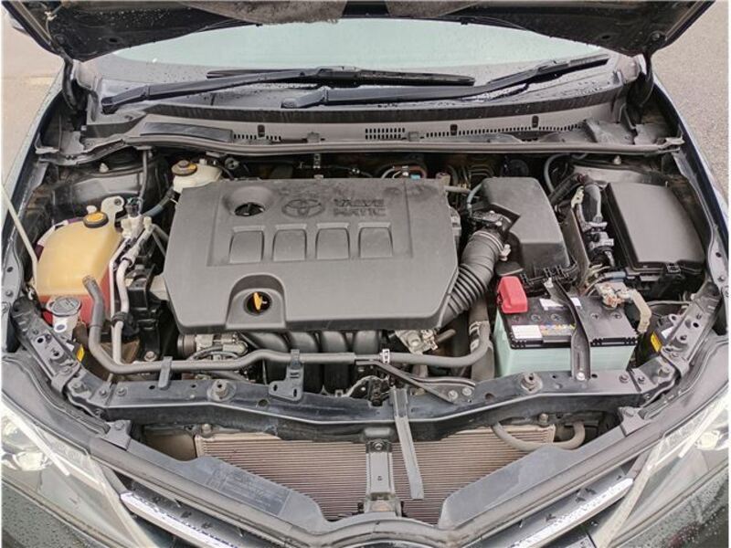 AURIS