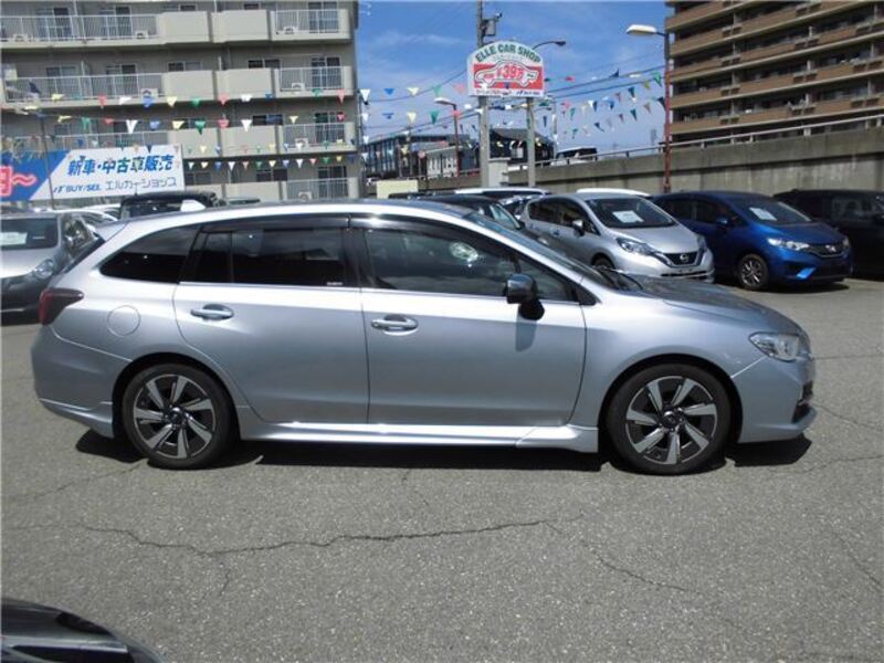 LEVORG