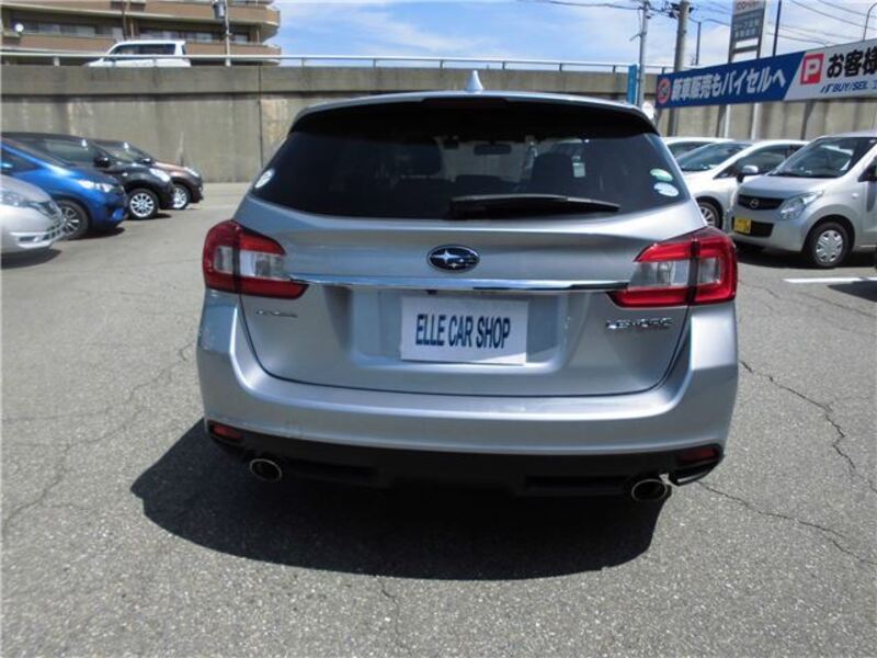 LEVORG