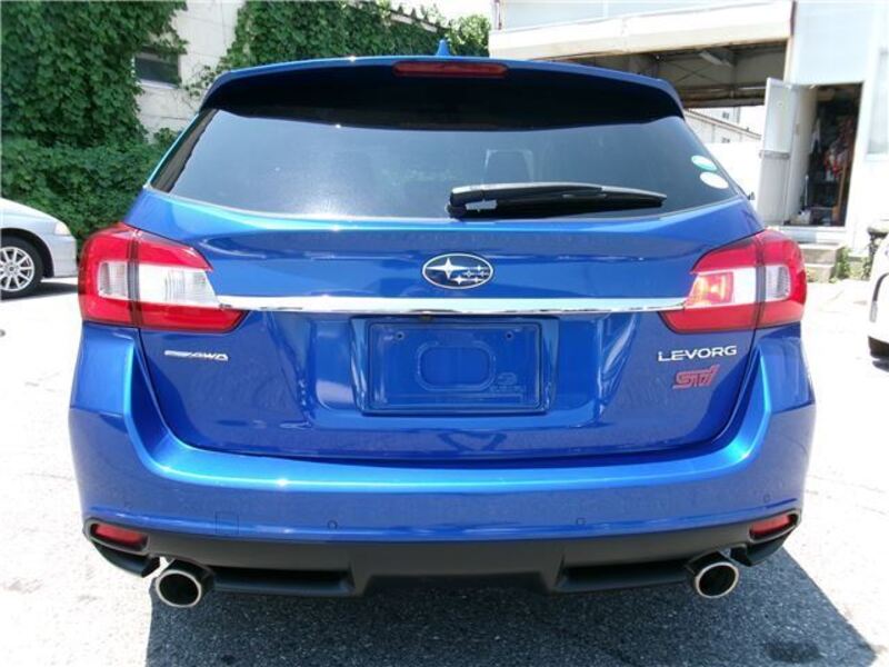 LEVORG
