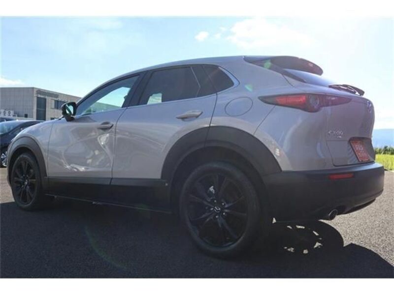 CX-30