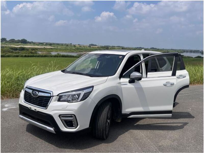 FORESTER-0