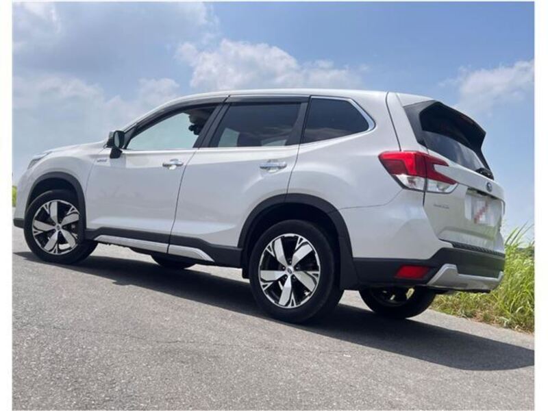 FORESTER