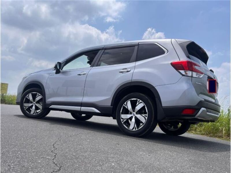 FORESTER