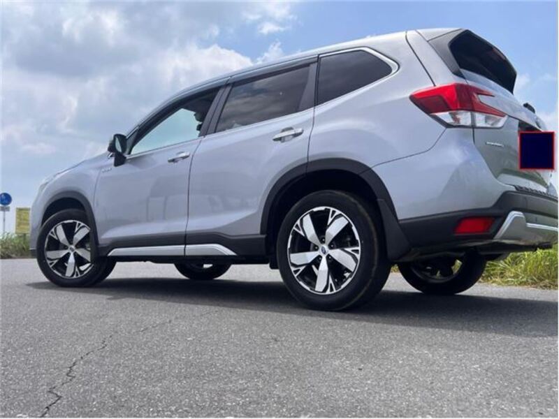 FORESTER