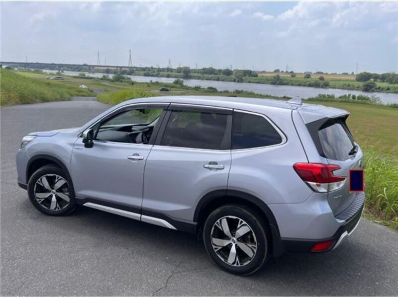 FORESTER