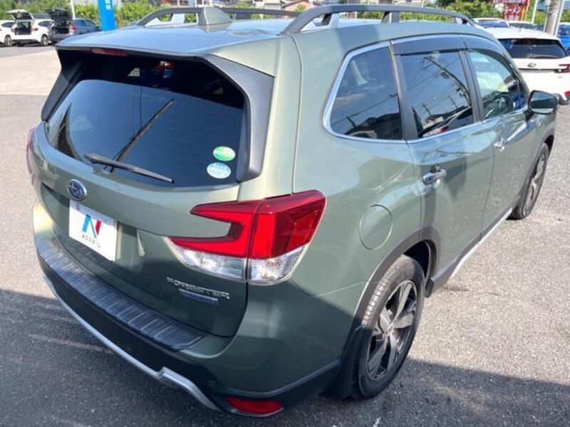 FORESTER