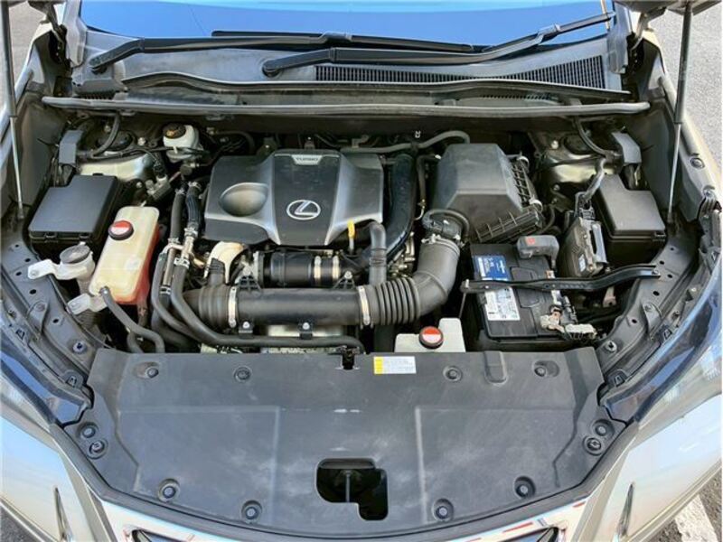 NX