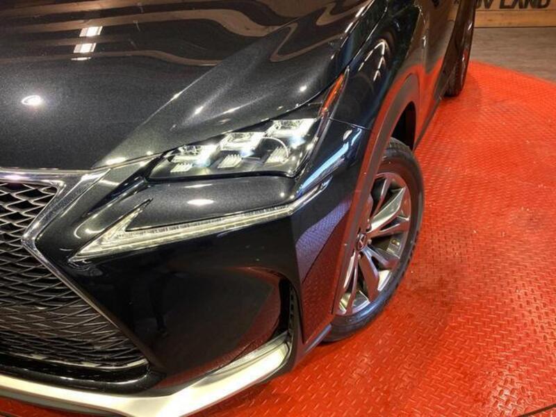 NX