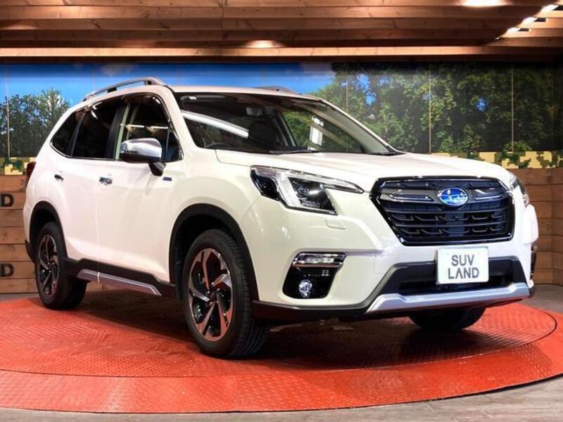 FORESTER