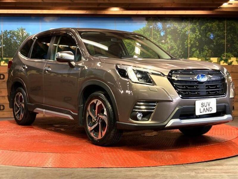 FORESTER