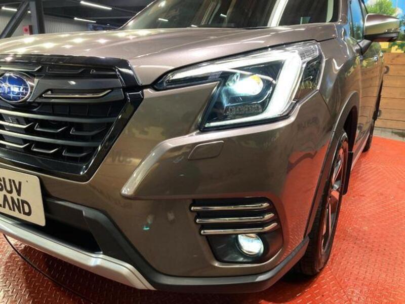 FORESTER