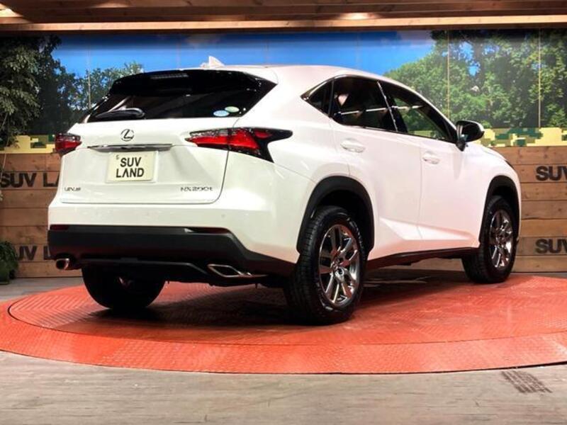 NX