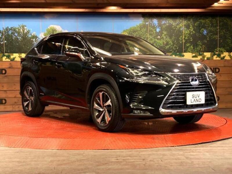 NX
